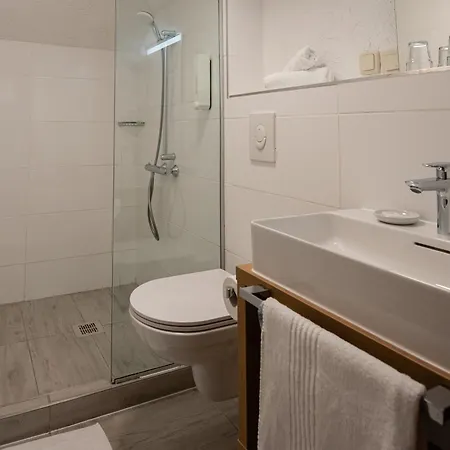 酒店 模式酒店 萨尔茨堡